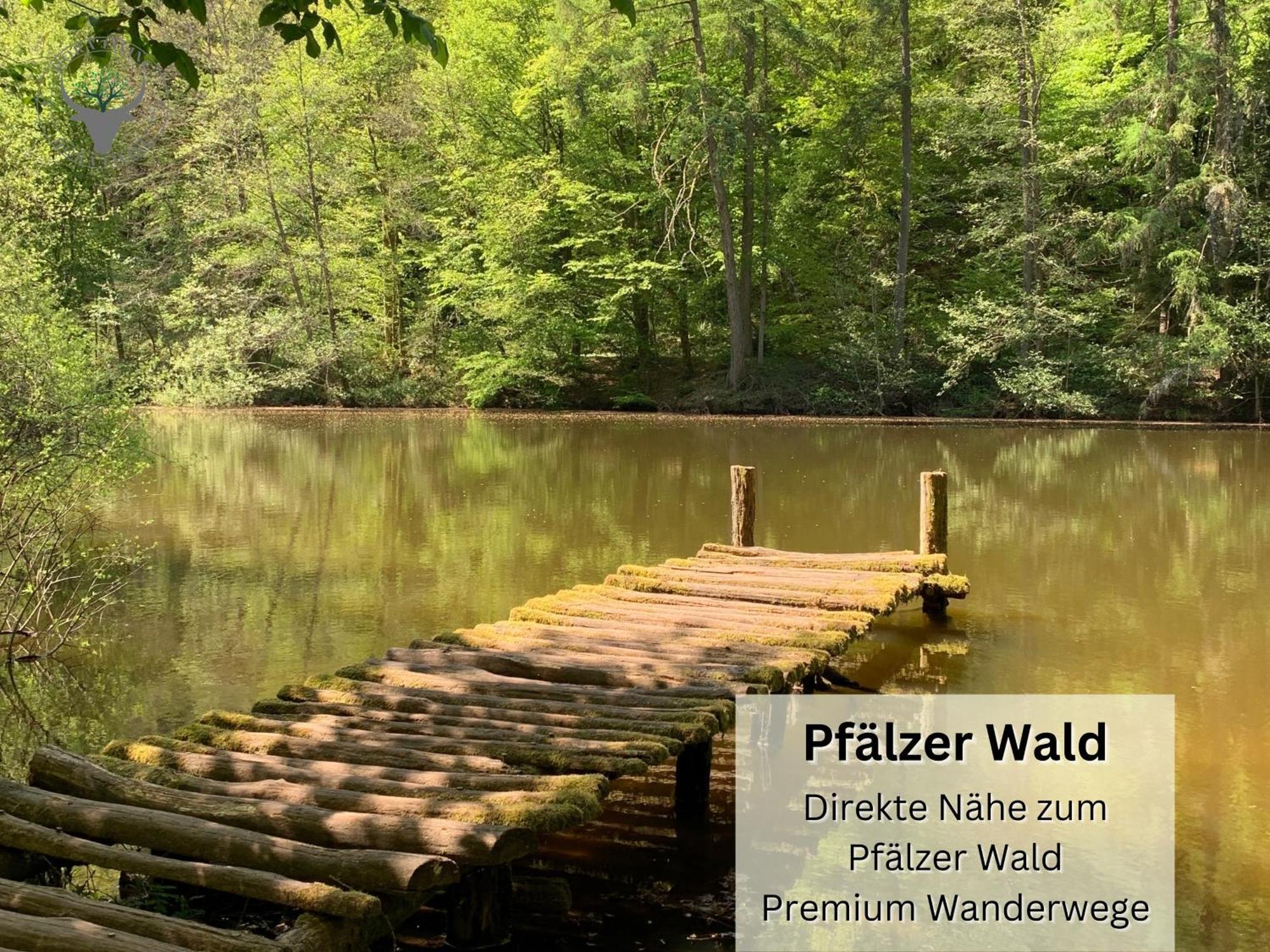 Stierpartment Am Pfaelzer Wald Naehe Outlet Center Zweibruecken Apartment Pirmasens Bagian luar foto